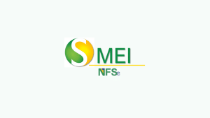 MEI – Veja como emitir a NFS-e – Grupo Módulos